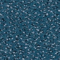 Ковролин Balsan Zenith Roll 155 фото 1 | FLOORDEALER